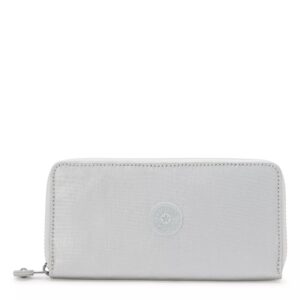 Money World Metallic Wallet