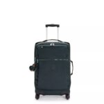 Darcey Small Carry-On Rolling Luggage